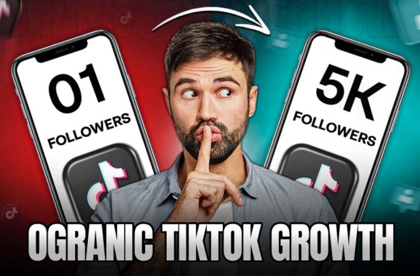TikTok Followers